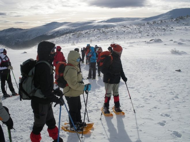 grupo de amigos abrigados caminando por la nieve